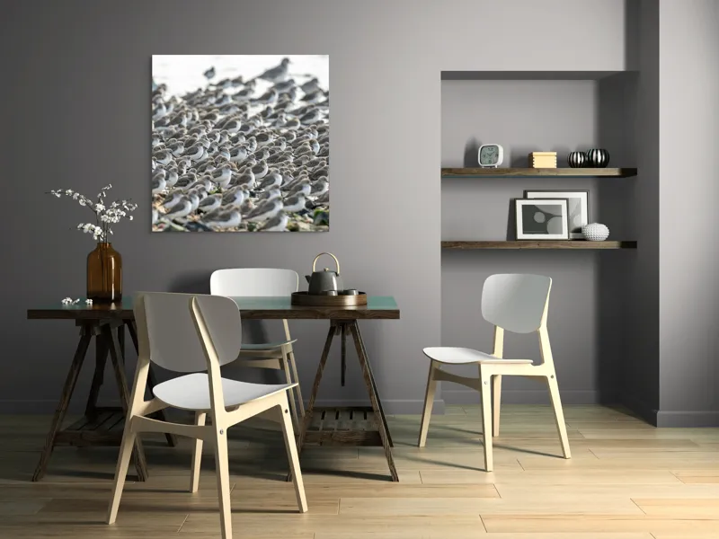 Tablou Canvas, "Dansul miilor de păsări marine", Grupuri, Nisip, Pene, Păsări, Coastă, Agitație, Mișcare, Natură, Armonie, Multitudine, 100 x 100 cm – poza 6