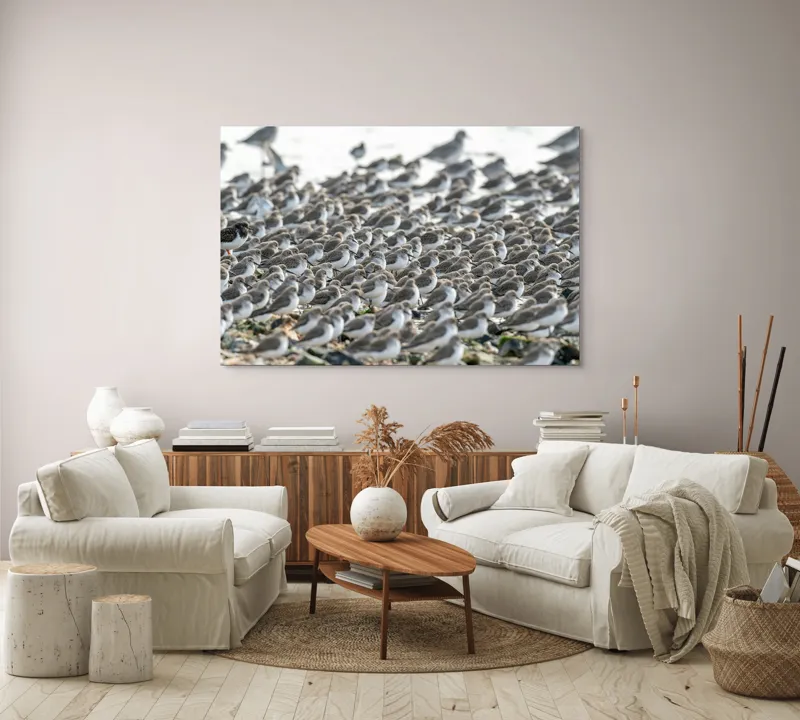 Tablou Canvas, "Dansul miilor de păsări marine", Grupuri, Nisip, Pene, Păsări, Coastă, Agitație, Mișcare, Natură, Armonie, Multitudine, 150 x 100 cm – poza 3