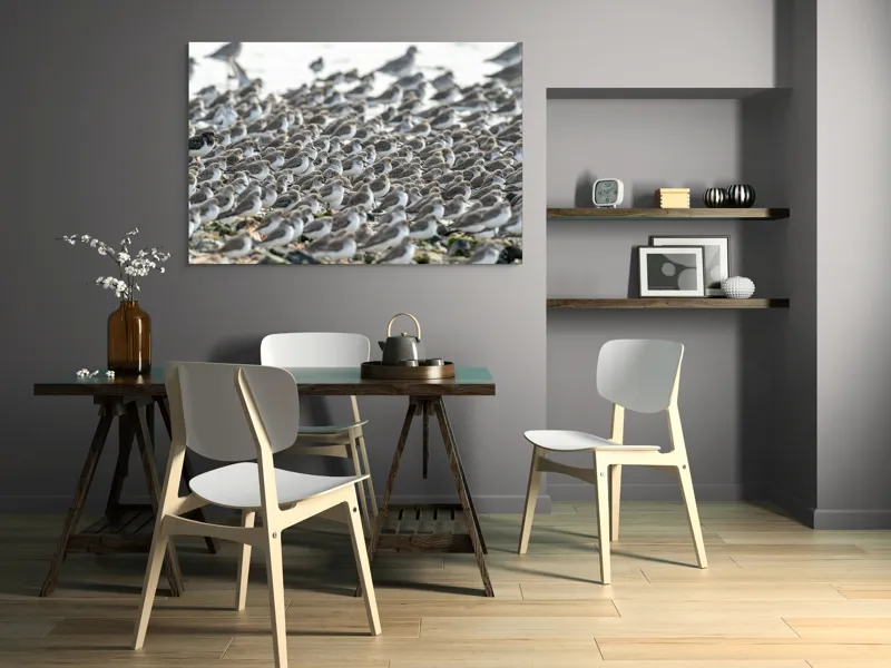 Tablou Canvas, "Dansul miilor de păsări marine", Grupuri, Nisip, Pene, Păsări, Coastă, Agitație, Mișcare, Natură, Armonie, Multitudine, 150 x 100 cm – poza 5