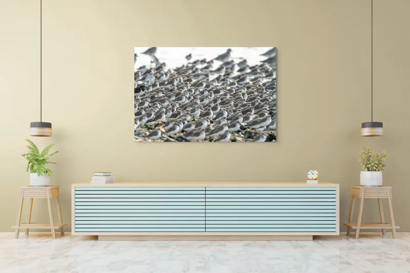 Tablou Canvas, "Dansul miilor de păsări marine", Grupuri, Nisip, Pene, Păsări, Coastă, Agitație, Mișcare, Natură, Armonie, Multitudine, 150 x 100 cm – poza 6