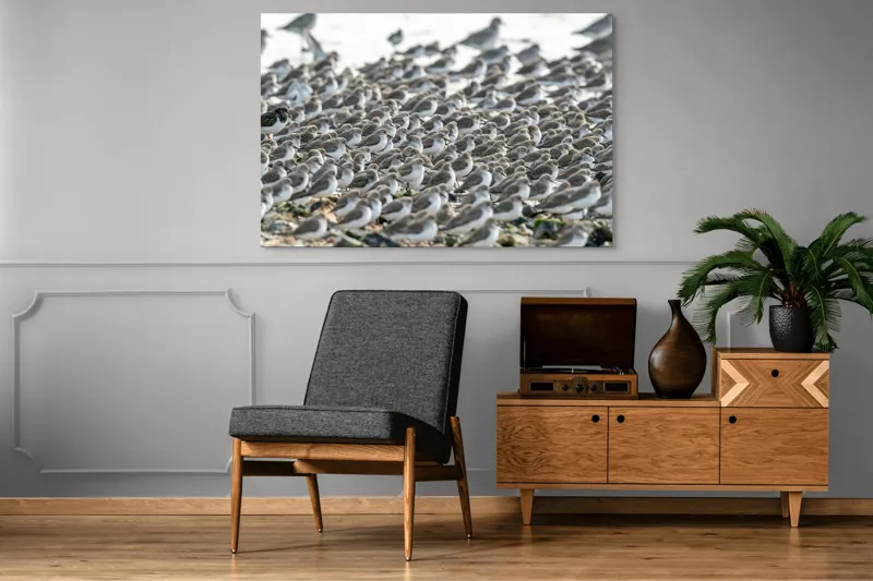 Tablou Canvas, "Dansul miilor de păsări marine", Grupuri, Nisip, Pene, Păsări, Coastă, Agitație, Mișcare, Natură, Armonie, Multitudine, 150 x 100 cm – poza 8