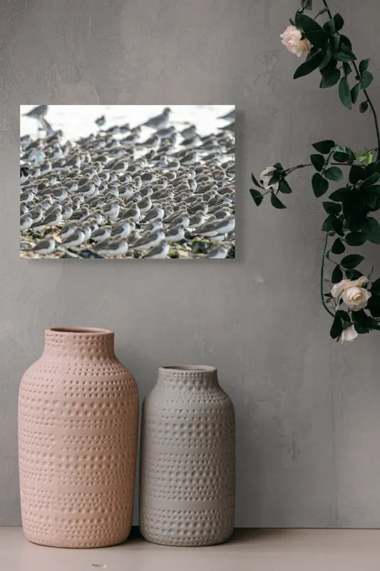 Tablou Canvas, "Dansul miilor de păsări marine", Grupuri, Nisip, Pene, Păsări, Coastă, Agitație, Mișcare, Natură, Armonie, Multitudine, 54 x 39 cm – poza 8