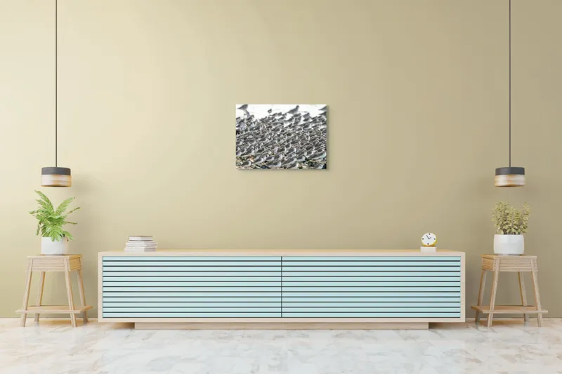 Tablou Canvas, "Dansul miilor de păsări marine", Grupuri, Nisip, Pene, Păsări, Coastă, Agitație, Mișcare, Natură, Armonie, Multitudine, 70 x 50 cm – poza 7