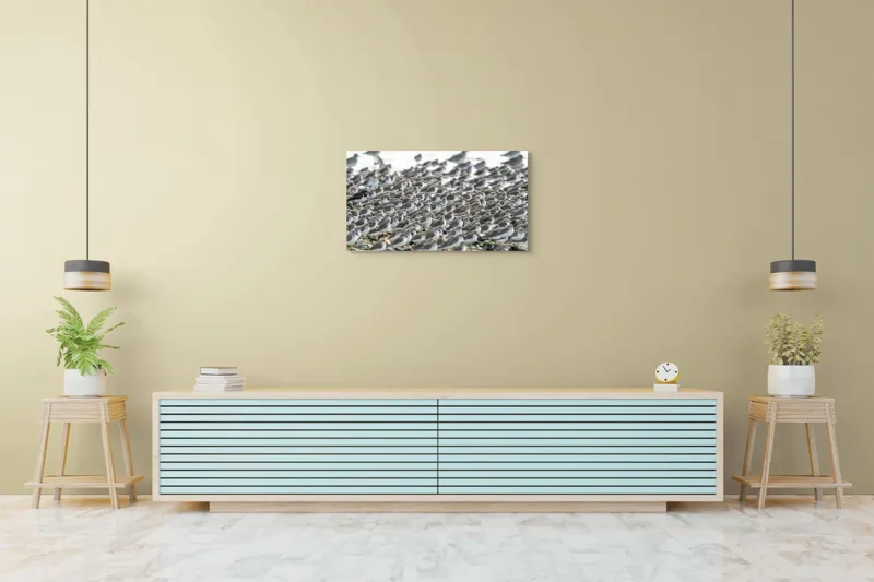 Tablou Canvas, "Dansul miilor de păsări marine", Grupuri, Nisip, Pene, Păsări, Coastă, Agitație, Mișcare, Natură, Armonie, Multitudine, 90 x 50 cm – poza 5