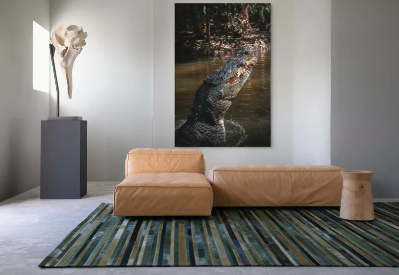 Tablou Canvas, "Crocodilul în apele mlăștinoase", Crocodil, Apă, Vegetație, Umbre, Natură, Zbucium, Forță, Faună, 100 x 150 cm – poza 7