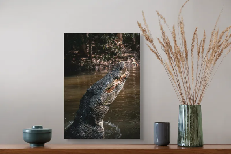 Tablou Canvas, "Crocodilul în apele mlăștinoase", Crocodil, Apă, Vegetație, Umbre, Natură, Zbucium, Forță, Faună, 39 x 54 cm – poza 3