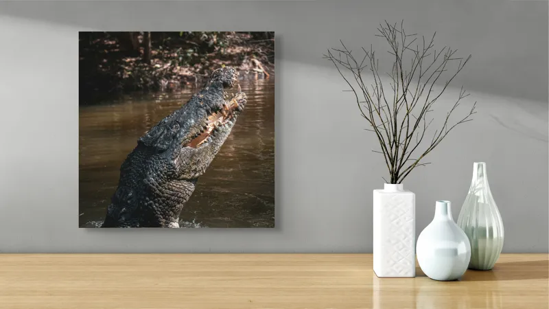 Tablou Canvas, "Crocodilul în apele mlăștinoase", Crocodil, Apă, Vegetație, Umbre, Natură, Zbucium, Forță, Faună, 50 x 50 cm – poza 3