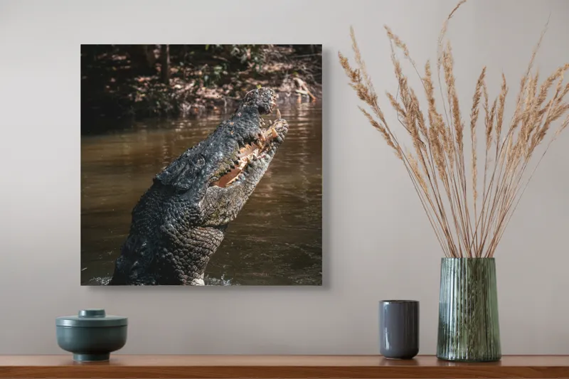Tablou Canvas, "Crocodilul în apele mlăștinoase", Crocodil, Apă, Vegetație, Umbre, Natură, Zbucium, Forță, Faună, 50 x 50 cm – poza 4