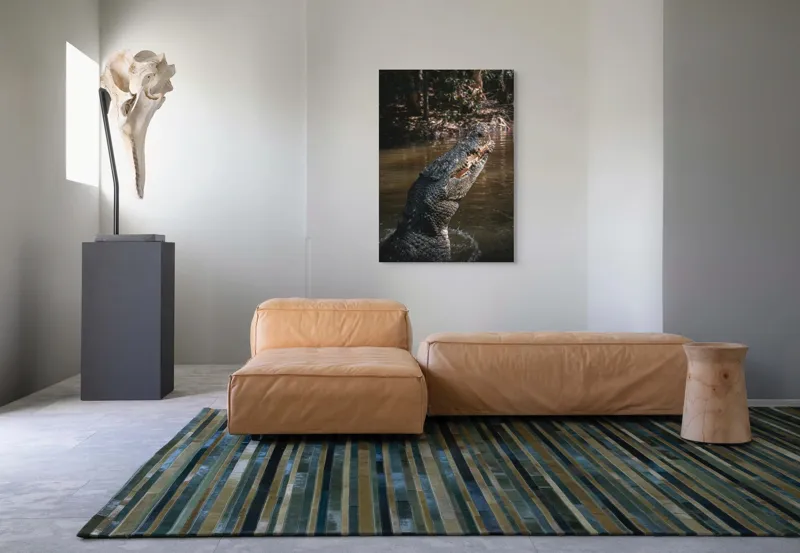 Tablou Canvas, "Crocodilul în apele mlăștinoase", Crocodil, Apă, Vegetație, Umbre, Natură, Zbucium, Forță, Faună, 70 x 100 cm – poza 7