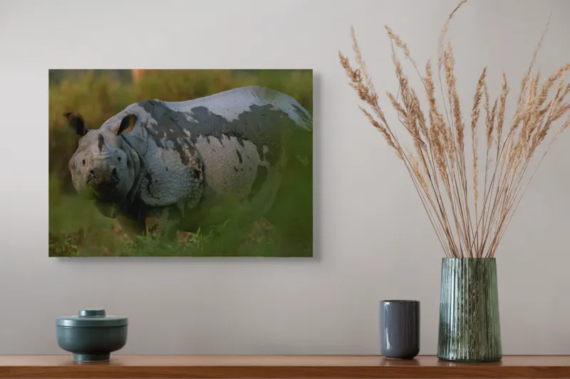 Tablou Canvas, "Rinocer indian în lumina dimineții", Rinocer, Natură, Armură, Sălbatic, Impunător, 54 x 39 cm – poza 4