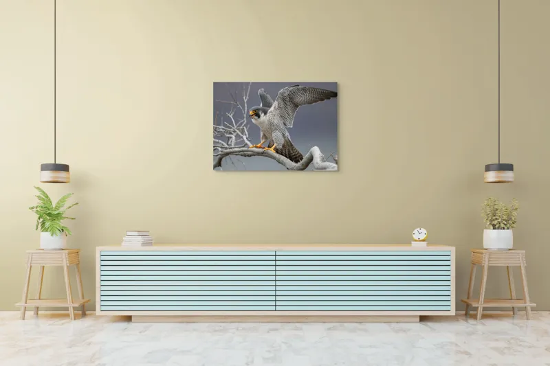 Tablou Canvas, "Șoimul în zborul libertății supreme", Uluitor, Vultur, Zbor, Natură, Forță, Eleganță, Penaj, Creangă, Cer, Alertă, 100 x 70 cm – poza 4