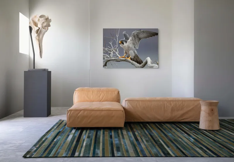 Tablou Canvas, "Șoimul în zborul libertății supreme", Uluitor, Vultur, Zbor, Natură, Forță, Eleganță, Penaj, Creangă, Cer, Alertă, 100 x 70 cm – poza 7