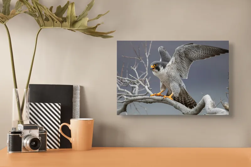 Tablou Canvas, "Șoimul în zborul libertății supreme", Uluitor, Vultur, Zbor, Natură, Forță, Eleganță, Penaj, Creangă, Cer, Alertă, 39 x 26 cm – poza 3