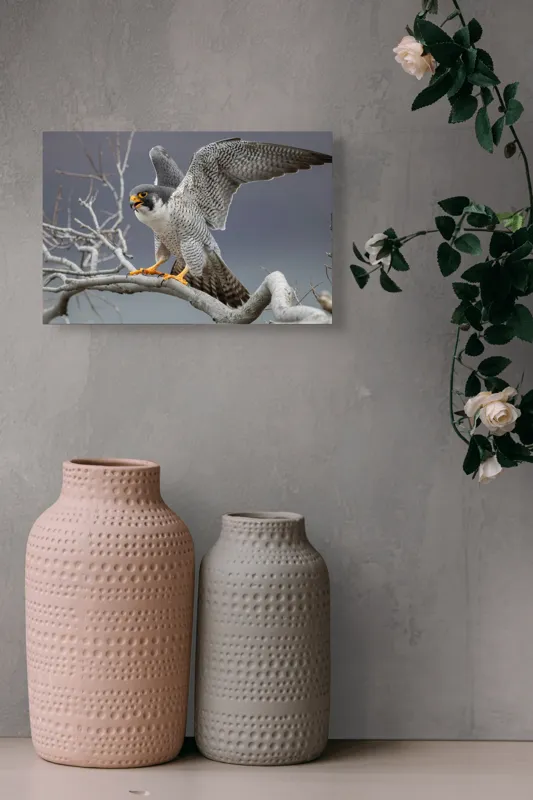 Tablou Canvas, "Șoimul în zborul libertății supreme", Uluitor, Vultur, Zbor, Natură, Forță, Eleganță, Penaj, Creangă, Cer, Alertă, 39 x 26 cm – poza 4