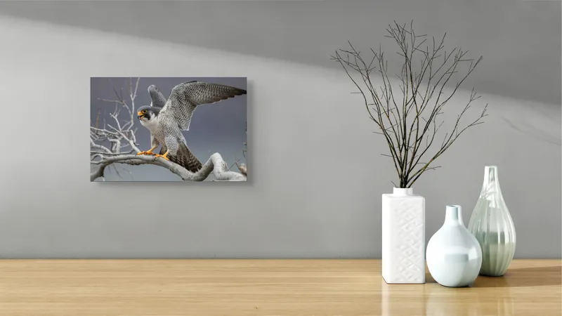 Tablou Canvas, "Șoimul în zborul libertății supreme", Uluitor, Vultur, Zbor, Natură, Forță, Eleganță, Penaj, Creangă, Cer, Alertă, 39 x 26 cm – poza 8