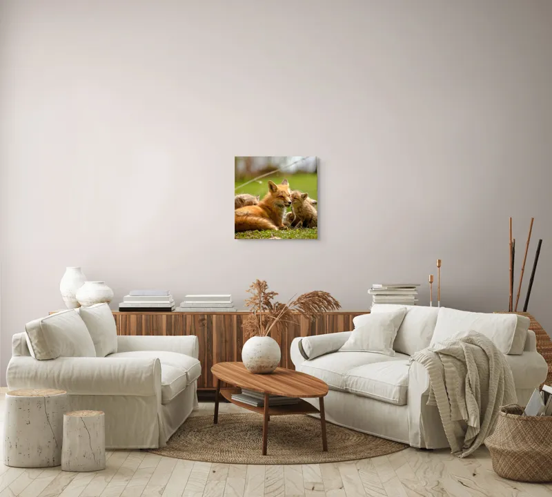 Tablou Canvas, "Vulpea alături de puii ei jucăuși", Vulpe, Pui, Blană, Iarbă, Natură, Familie, Afecțiune, Pădure, Primăvară, Soare, 50 x 50 cm – poza 7