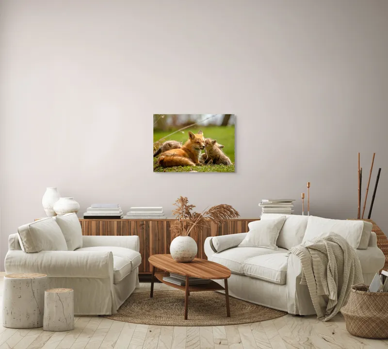 Tablou Canvas, "Vulpea alături de puii ei jucăuși", Vulpe, Pui, Blană, Iarbă, Natură, Familie, Afecțiune, Pădure, Primăvară, Soare, 70 x 50 cm – poza 6