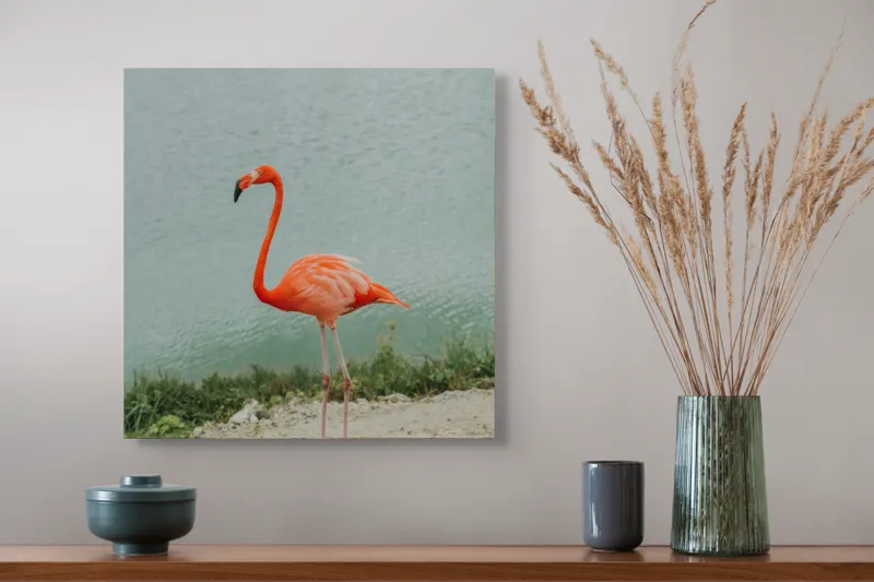 Tablou Canvas, "Flamingo pe malul lacului liniștit", Flamingo, Roz, Grațios, Apă, Verdeață, Cer, Eleganță, Natură, 50 x 50 cm – poza 4