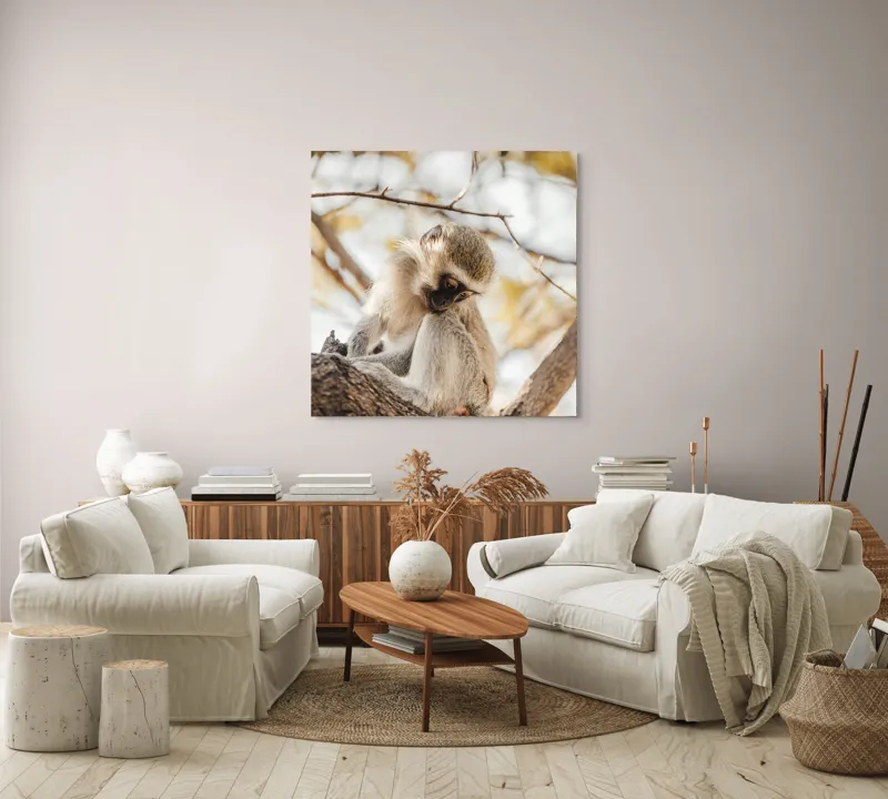 Tablou Canvas, "Maimuța contemplativă pe ramura copacului", Nu pot confirma cine este în imagine., 100 x 100 cm – poza 3