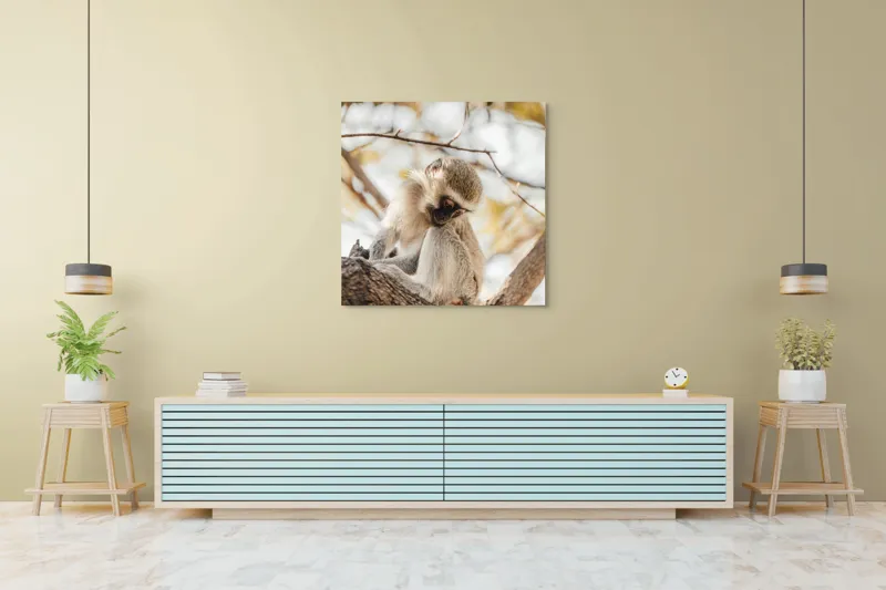 Tablou Canvas, "Maimuța contemplativă pe ramura copacului", Nu pot confirma cine este în imagine., 100 x 100 cm – poza 5