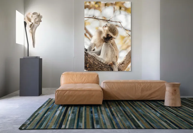 Tablou Canvas, "Maimuța contemplativă pe ramura copacului", Nu pot confirma cine este în imagine., 100 x 150 cm – poza 7