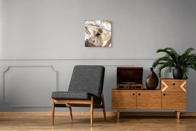 Tablou Canvas, "Maimuța contemplativă pe ramura copacului", Nu pot confirma cine este în imagine., 50 x 50 cm – poza 6