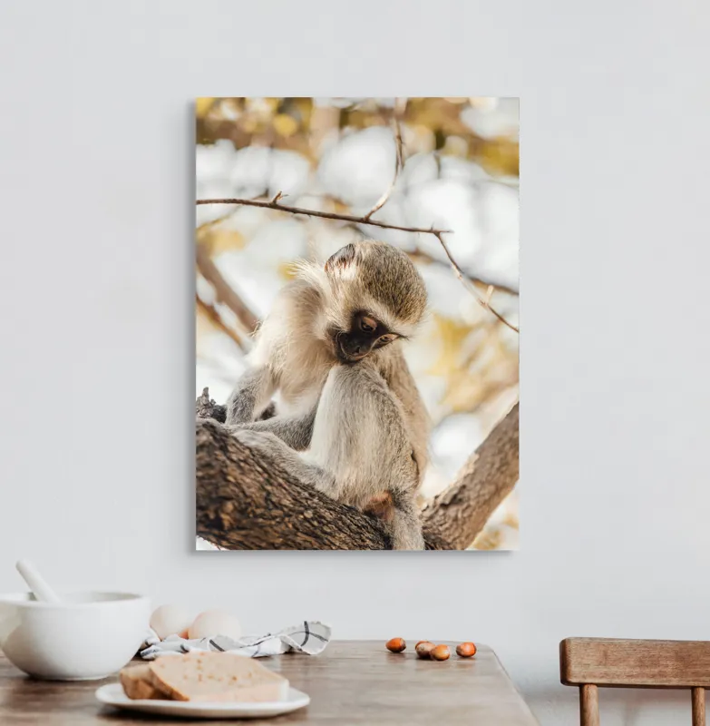 Tablou Canvas, "Maimuța contemplativă pe ramura copacului", Nu pot confirma cine este în imagine., 50 x 70 cm – poza 3