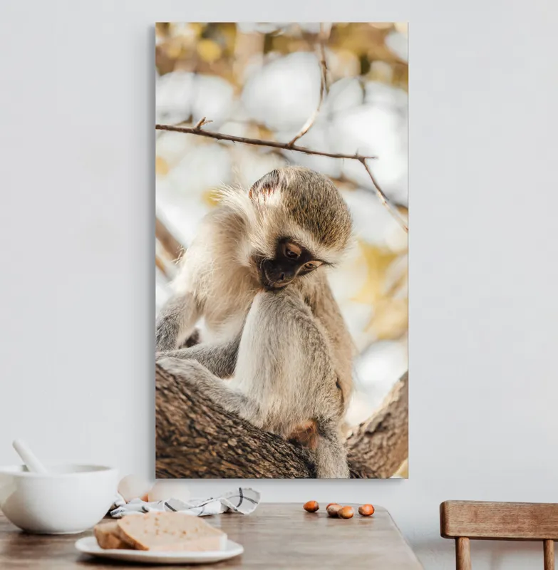 Tablou Canvas, "Maimuța contemplativă pe ramura copacului", Nu pot confirma cine este în imagine., 50 x 90 cm – poza 3