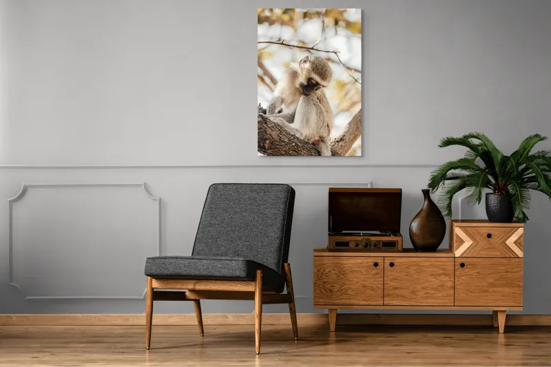 Tablou Canvas, "Maimuța contemplativă pe ramura copacului", Nu pot confirma cine este în imagine., 70 x 100 cm – poza 6