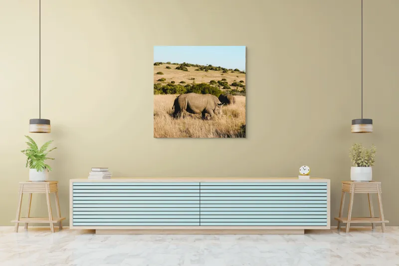 Tablou Canvas, "Rinocerii în savana africană", Rinocer, Savana, Vegetație, Arbuști, Cer Senin, Pajiște, Peisaj, Natură, 100 x 100 cm – poza 5