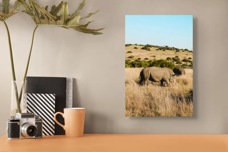 Tablou Canvas, "Rinocerii în savana africană", Rinocer, Savana, Vegetație, Arbuști, Cer Senin, Pajiște, Peisaj, Natură, 26 x 39 cm – poza 3