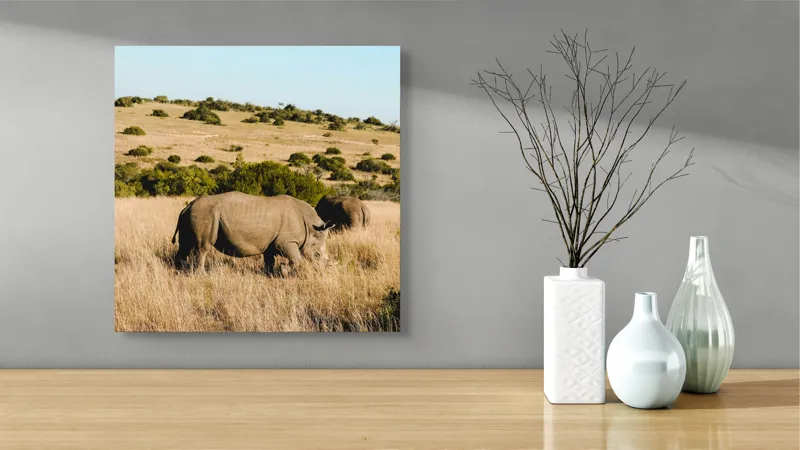 Tablou Canvas, "Rinocerii în savana africană", Rinocer, Savana, Vegetație, Arbuști, Cer Senin, Pajiște, Peisaj, Natură, 50 x 50 cm – poza 3