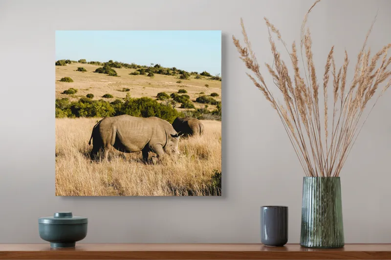 Tablou Canvas, "Rinocerii în savana africană", Rinocer, Savana, Vegetație, Arbuști, Cer Senin, Pajiște, Peisaj, Natură, 50 x 50 cm – poza 4