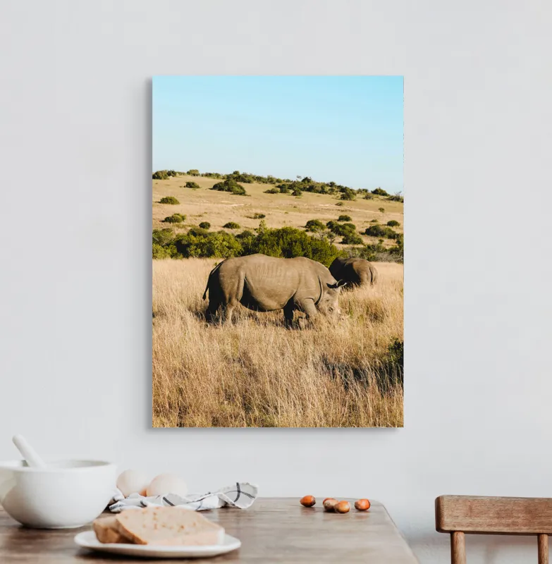 Tablou Canvas, "Rinocerii în savana africană", Rinocer, Savana, Vegetație, Arbuști, Cer Senin, Pajiște, Peisaj, Natură, 50 x 70 cm – poza 3