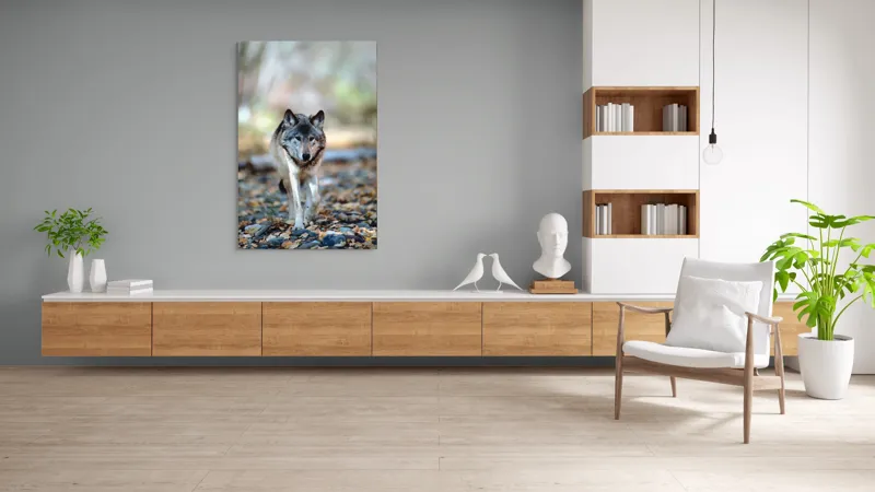 Tablou Canvas, "Lupul în căutarea haitei pierdute", Lup, Pădure, Frunze, Tăcut, Plimbare, Natură, Sălbăticie, 100 x 150 cm – poza 8