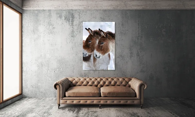 Tablou Canvas, "Priviri contemplative în zăpadă albăstruie", Nu știu cine sunt în imagine, dar văd doi magari., 100 x 150 cm – poza 6