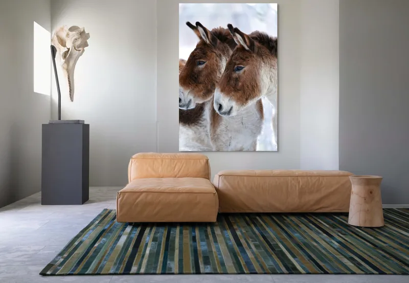 Tablou Canvas, "Priviri contemplative în zăpadă albăstruie", Nu știu cine sunt în imagine, dar văd doi magari., 100 x 150 cm – poza 7