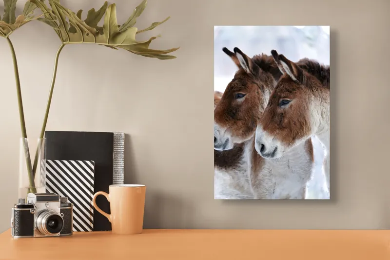 Tablou Canvas, "Priviri contemplative în zăpadă albăstruie", Nu știu cine sunt în imagine, dar văd doi magari., 26 x 39 cm – poza 3