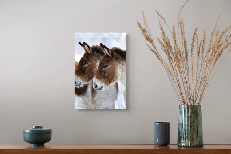 Tablou Canvas, "Priviri contemplative în zăpadă albăstruie", Nu știu cine sunt în imagine, dar văd doi magari., 26 x 39 cm – poza 5
