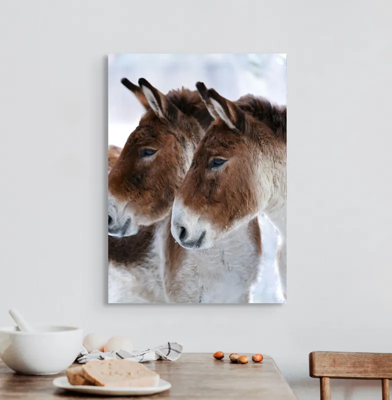 Tablou Canvas, "Priviri contemplative în zăpadă albăstruie", Nu știu cine sunt în imagine, dar văd doi magari., 50 x 70 cm – poza 3