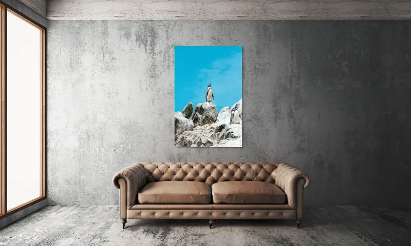 Tablou Canvas, "Dansul pinguinilor pe stânci albe", Pinguin, Rocă, Cer, Albastru, Priveliște, Natură, Zi, Solemn, Vertical., 100 x 150 cm – poza 6
