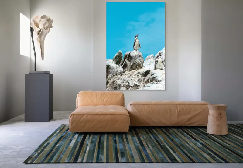 Tablou Canvas, "Dansul pinguinilor pe stânci albe", Pinguin, Rocă, Cer, Albastru, Priveliște, Natură, Zi, Solemn, Vertical., 100 x 150 cm – poza 7