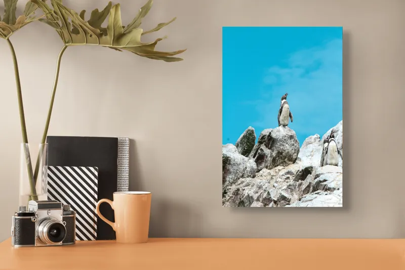 Tablou Canvas, "Dansul pinguinilor pe stânci albe", Pinguin, Rocă, Cer, Albastru, Priveliște, Natură, Zi, Solemn, Vertical., 26 x 39 cm – poza 3