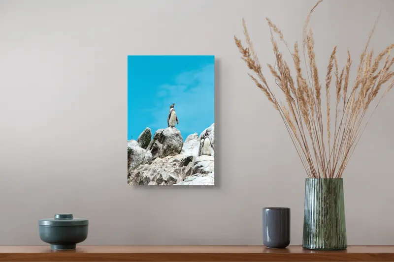 Tablou Canvas, "Dansul pinguinilor pe stânci albe", Pinguin, Rocă, Cer, Albastru, Priveliște, Natură, Zi, Solemn, Vertical., 26 x 39 cm – poza 5