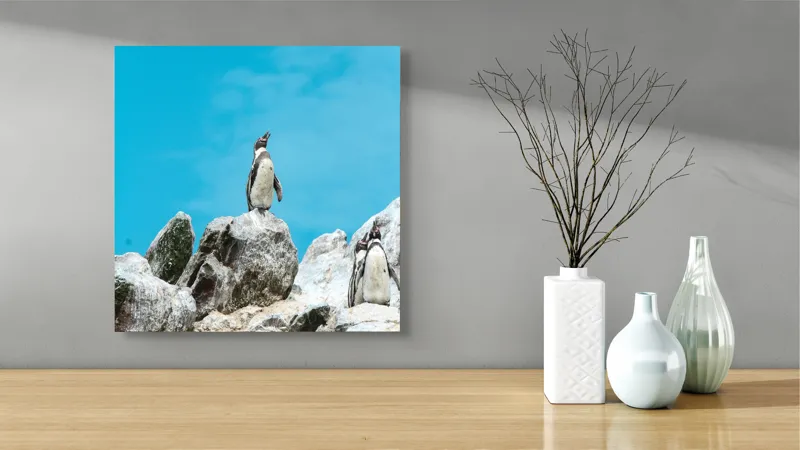 Tablou Canvas, "Dansul pinguinilor pe stânci albe", Pinguin, Rocă, Cer, Albastru, Priveliște, Natură, Zi, Solemn, Vertical., 50 x 50 cm – poza 3