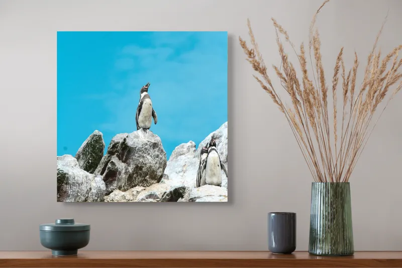 Tablou Canvas, "Dansul pinguinilor pe stânci albe", Pinguin, Rocă, Cer, Albastru, Priveliște, Natură, Zi, Solemn, Vertical., 50 x 50 cm – poza 4