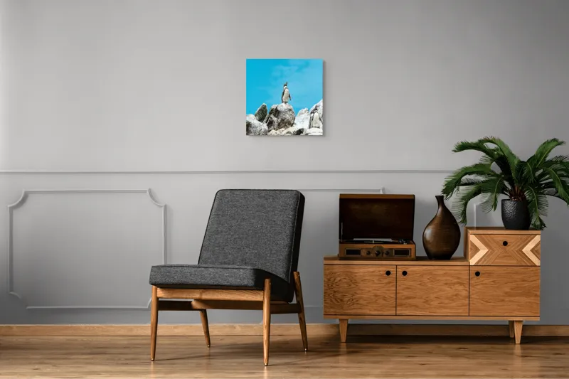 Tablou Canvas, "Dansul pinguinilor pe stânci albe", Pinguin, Rocă, Cer, Albastru, Priveliște, Natură, Zi, Solemn, Vertical., 50 x 50 cm – poza 6