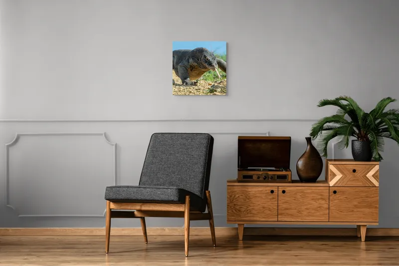 Tablou Canvas, "Dragonul Komodo în habitatul său natural", Sol, Stâncă, Reptilă, Iarbă, Cer, Limbă, Solzi, Mișcare, Natură, Explorat., 50 x 50 cm – poza 6