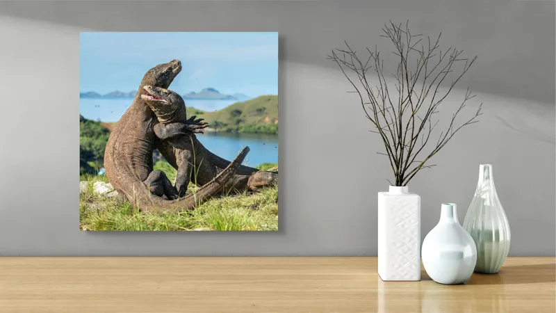 Tablou Canvas, "Îmbrățișarea dragonilor de Komodo", Balans, Natură, Forță, Întindere, Armonie, Salbaticie, Lumină, Peisaj, Verzișor, Relaxare., 50 x 50 cm – poza 3