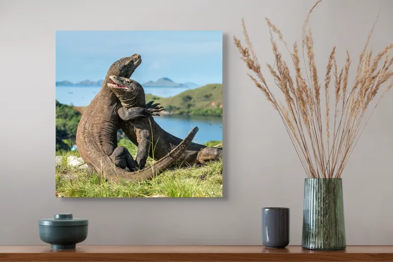Tablou Canvas, "Îmbrățișarea dragonilor de Komodo", Balans, Natură, Forță, Întindere, Armonie, Salbaticie, Lumină, Peisaj, Verzișor, Relaxare., 50 x 50 cm – poza 4